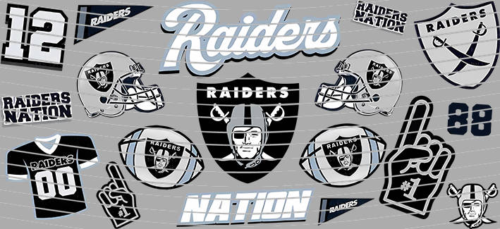 16oz team-NFL 2867